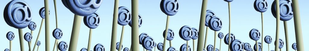 Email List Building Using Lead Magnets