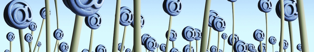 Email List Building Using Lead Magnets